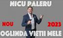 Nicu Paleru 💥  Oglinda vietii mele 💥  Videoclip Oficial 2023